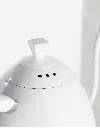 11.webp