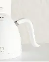 9.webp