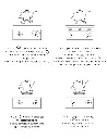 800-1_19.webp
